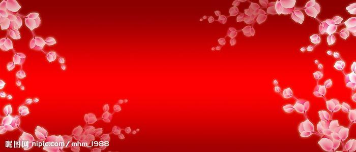 蒂芬大学文凭购买